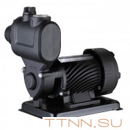 Поверхностный насос Pumpman TGP125N Поверхностный насос Pumpman TGP125N