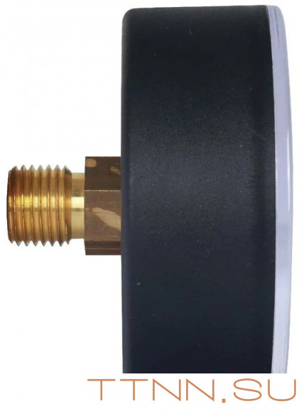 Манометр аксиальный Watts F+R100(MDA) 80/10x1/4"