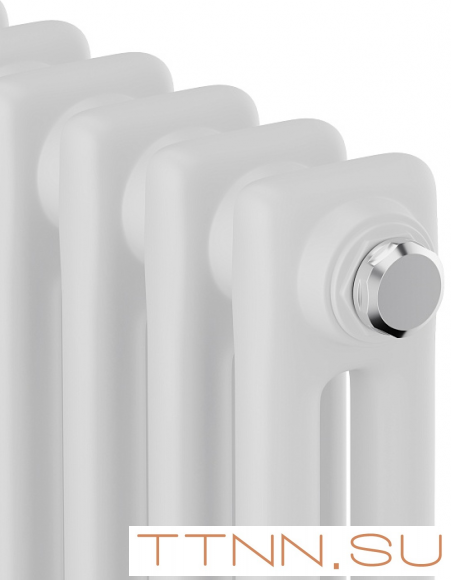 Стальной трубчатый радиатор 2-колончатый Royal Thermo Insignia C2180 - 04 секц. RAL9016, боковое 1/2 Стальной трубчатый радиатор 2-колончатый Royal Thermo Insignia C2180 - 04 секц. RAL9016, боковое 1/2