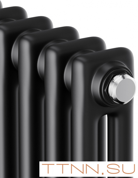 Стальной трубчатый радиатор 2-колончатый Royal Thermo Insignia C2180 - 06 секц. RAL9005m, боковое 1/2