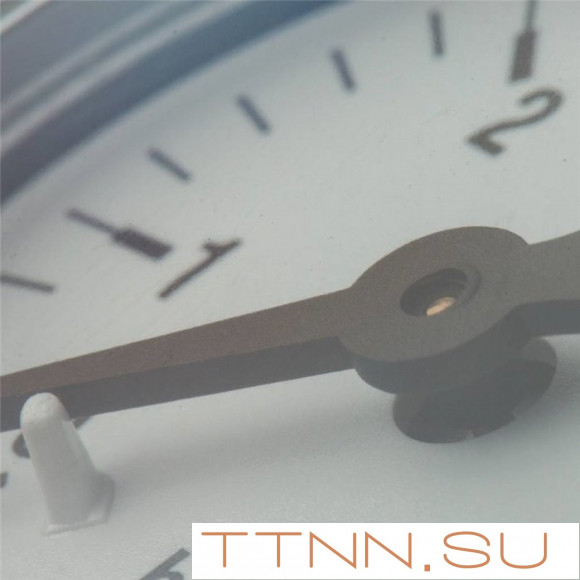 Манометр радиальный Watts F+R200 (MDR) 100/ 6x1/2"