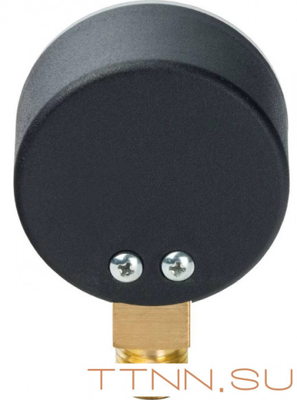 Манометр радиальный Watts F+R200 (MDR) 63/ 25x1/4"