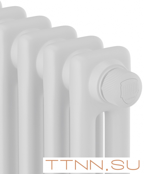 Стальной трубчатый радиатор 2-колончатый Royal Thermo Insignia VC2050 - 28 секц. RAL9016, нижнее 1/2