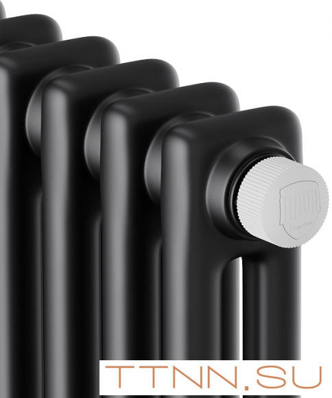 Стальной трубчатый радиатор 2-колончатый Royal Thermo Insignia VC2180 - 06 секц. RAL9005m, нижнее 1/2