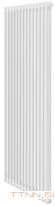 Стальной трубчатый радиатор 2-колончатый Royal Thermo Insignia VC2180 - 14 секц. RAL9016, нижнее 1/2