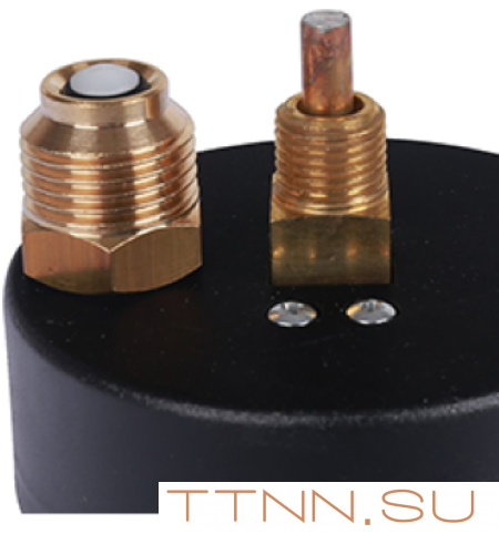 Термоманометр аксиальный Watts FR 818 (TMAX) 10 бар