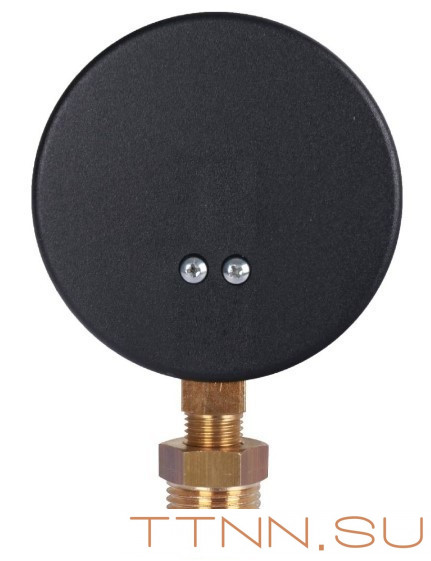 Термоманометр радиальный Watts FR 828(TMRA) 6 бар